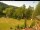Webcam in Blaibach, 24.6 km entfernt