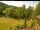 Webcam in Blaibach, 10.4 mi away