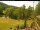 Webcam in Blaibach, 9.5 km entfernt