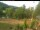 Webcam in Blaibach, 9.8 mi away
