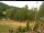 Webcam in Blaibach, 14 mi away