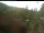 Webcam in Blaibach, 10.4 mi away