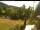 Webcam in Blaibach, 7.3 mi away