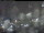 Webcam in Oldenburg, 5.5 mi away