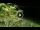 Webcam in Soverato, 2.2 km