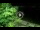 Webcam in Soverato, 5.8 mi away