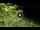 Webcam in Soverato, 15.6 km entfernt