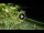 Webcam in Soverato, 15.1 km entfernt