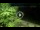 Webcam in Soverato, 6 km entfernt