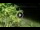 Webcam in Soverato, 8.4 km entfernt