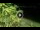 Webcam in Soverato, 7.5 km