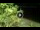 Webcam in Soverato, 7.5 km