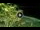 Webcam in Soverato, 5.8 mi away