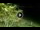 Webcam in Soverato, 2.2 km entfernt