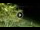 Webcam in Soverato, 2.2 km