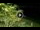 Webcam in Soverato, 5.4 km entfernt