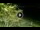 Webcam in Soverato, 0.9 mi away
