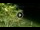 Webcam in Soverato, 2.2 km