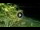Webcam in Soverato, 47.9 km