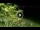Webcam in Soverato, 15.1 km