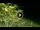 Webcam in Soverato, 15.1 km