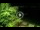 Webcam in Soverato, 0.9 mi away