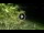 Webcam in Soverato, 5.8 mi away