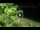 Webcam in Soverato, 5.8 mi away