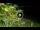 Webcam in Soverato, 8.8 mi away