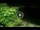 Webcam in Soverato, 4.6 km