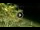 Webcam in Soverato, 5.8 mi away