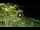 Webcam in Soverato, 2.2 km entfernt