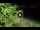 Webcam in Soverato, 7.5 km entfernt