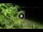 Webcam in Soverato, 55.4 km