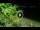 Webcam in Soverato, 8.4 km