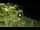 Webcam in Soverato, 1.5 km entfernt