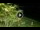 Webcam in Soverato, 2.2 km entfernt