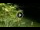 Webcam in Soverato, 2.2 km