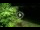 Webcam in Soverato, 5.4 km entfernt