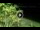 Webcam in Soverato, 15.6 km entfernt