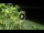 Webcam in Soverato, 6 mi away