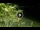 Webcam in Soverato, 2.2 km