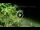 Webcam in Soverato, 2.2 km entfernt