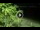 Webcam in Soverato, 2.2 km