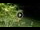 Webcam in Soverato, 2.2 km