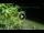 Webcam in Soverato, 5.8 mi away