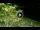 Webcam in Soverato, 5.8 mi away