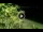 Webcam in Soverato, 49.2 km entfernt