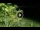 Webcam in Soverato, 2.9 mi away