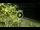 Webcam in Soverato, 2.2 km